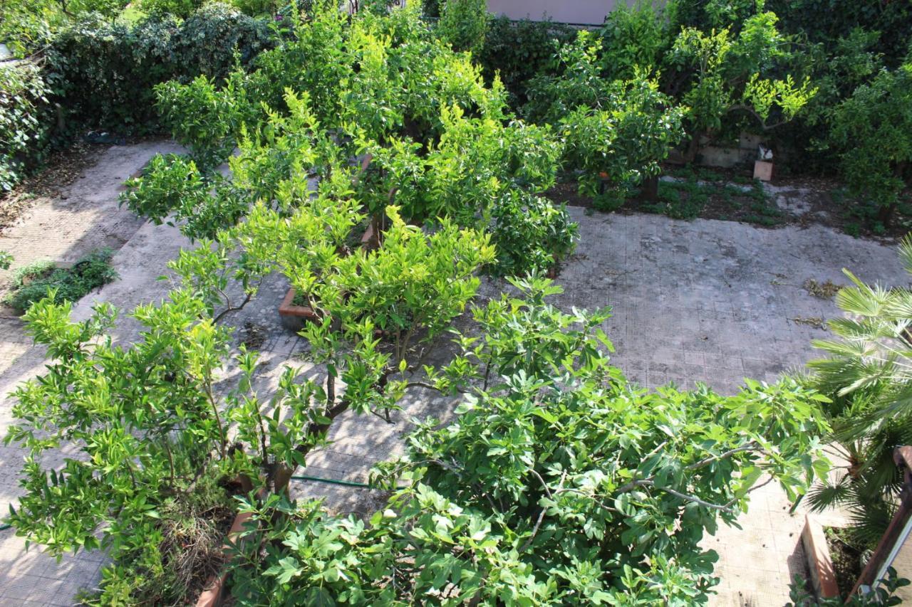 Greenhouse Mascalucia Exterior photo