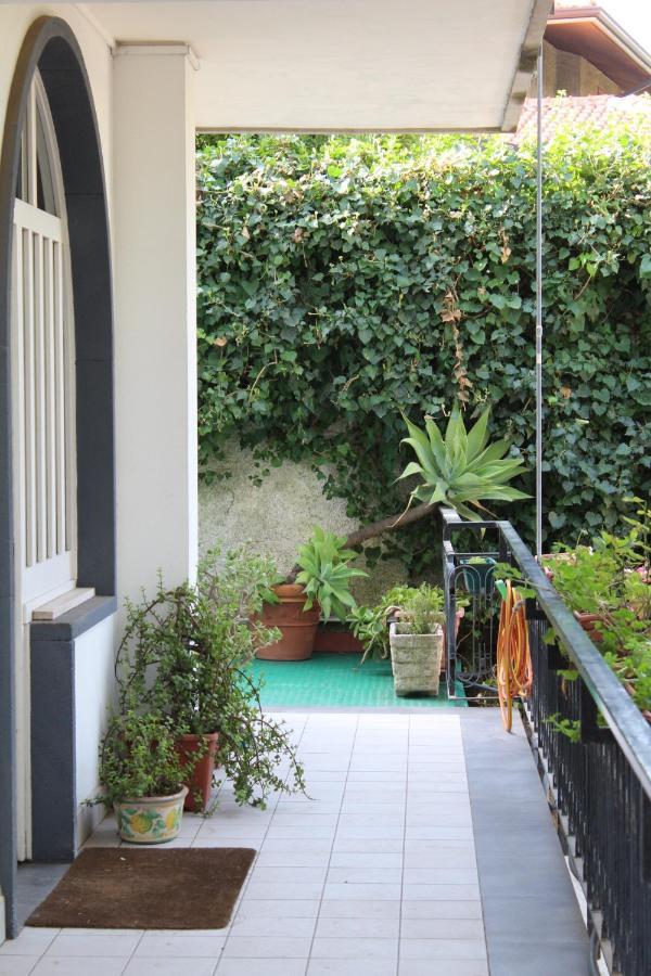 Greenhouse Mascalucia Exterior photo