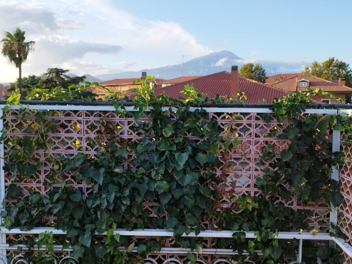 Greenhouse Mascalucia Exterior photo